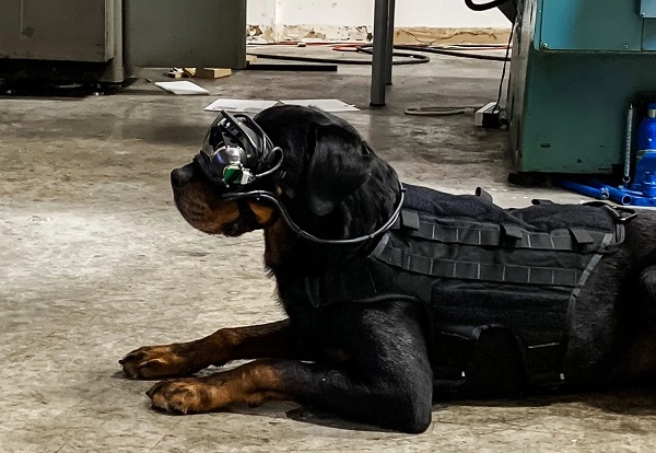 Technológia je integrovaná do ochranných okuliarov, na ktoré už sú vojenské psy vycvičené.