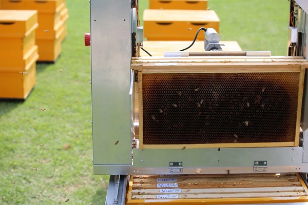 Automatizované zariadenie na vyťahovanie voštín z úľov Hive Controller.