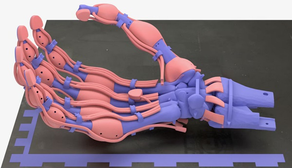 3D počítačový model ruky zobrazujúci rôzne farebne odlíšené materiály.