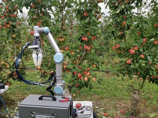 Novo vyvinutý poľnohospodársky robot na zber jabĺk.