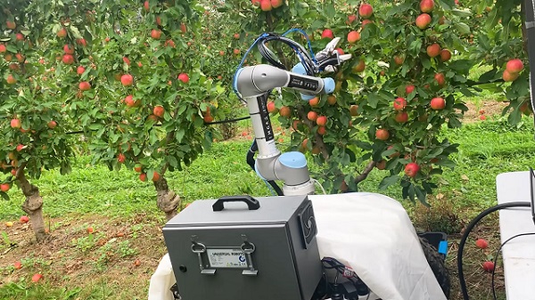 Novo vyvinutý poľnohospodársky robot na zber jabĺk.
