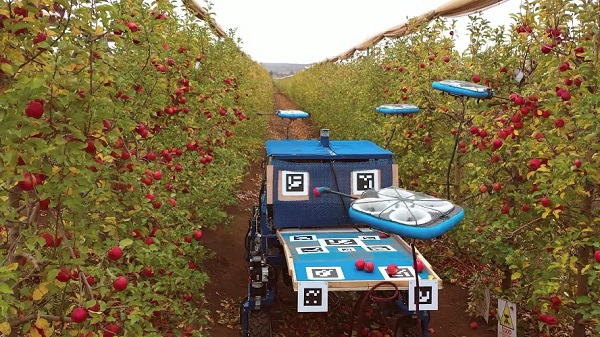 Autonómny systém Tevel FAR si razí cestu jablkovým sadom.
