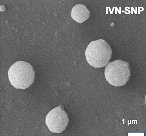 Mikroskopický obraz nanočastíc.