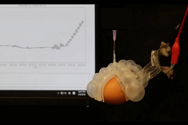 Na meranie teploty natvrdo uvareného vajíčka sa používa mäkké robotické uchopovadlo vybavené jedným z mäkkých flexibilných teplomerov.