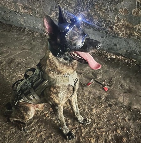 Ochranná prilba pre zásahových psov DarkFighter K9 GEN4.