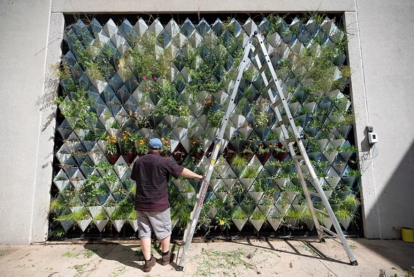 Živá stena využíva recyklované materiály pre lepšie pestovanie rastlín.