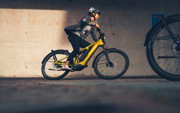 Elektrický bicykel Flayer Goroc TR:X.