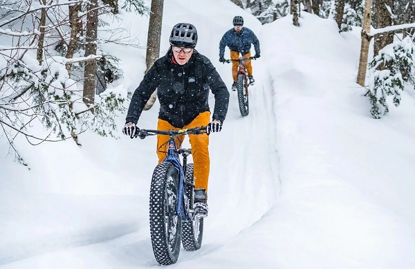 Horský elektrický bicykel s hrubým plášťom Rocky Mountain Blizzard Powerplay.