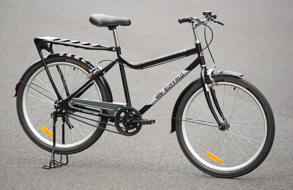 Bicykel s dvomi raťazami Buffalo S2 Utility.