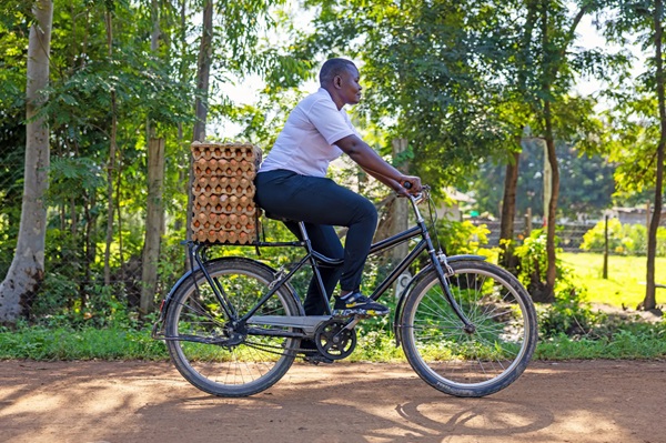 Bicykel s dvomi raťazami Buffalo S2 Utility.