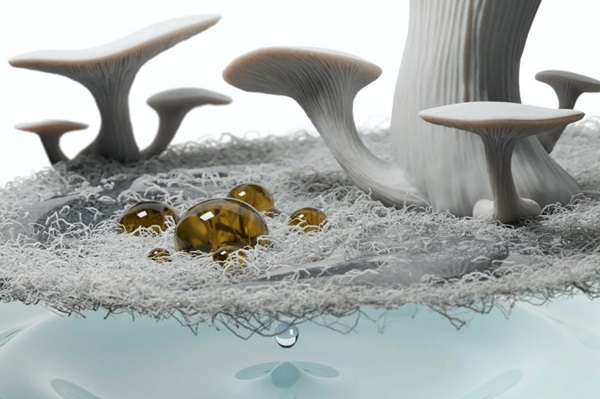 Vizualizácia "superamfifilnej" membrány mycélia, z ktorej by v skutočnosti nerástli huby.