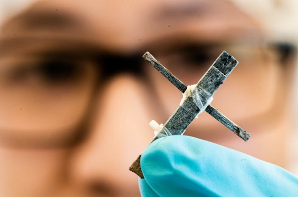 Výskumníci vytvorili funkčný drevený tranzistor.