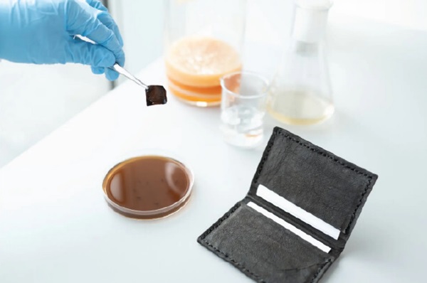 Peňaženka vyrobená zo samofarbiacej bakteriálnej celulózy.