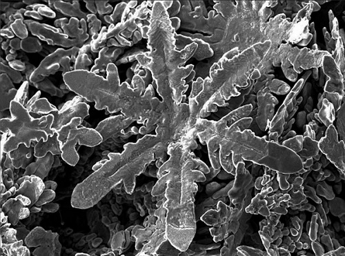 Kovové snehové vločky v nanorozmeroch vyrobené zo zinku by mohli byť prvým krokom k novej výrobnej technike.