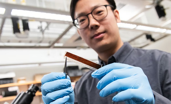 Výskumník Pengju Li drží prototyp kardiostimulátora, ktorý má hrúbku iba 1 mikrometer a je ovládaný svetelnými impulzmi.