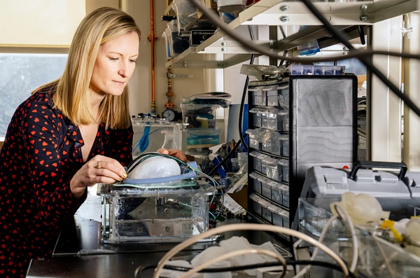Vedúca vedkyňa Ellen Rocheová pracuje s mäkkým robotickým implantovateľným ventilátorom.
