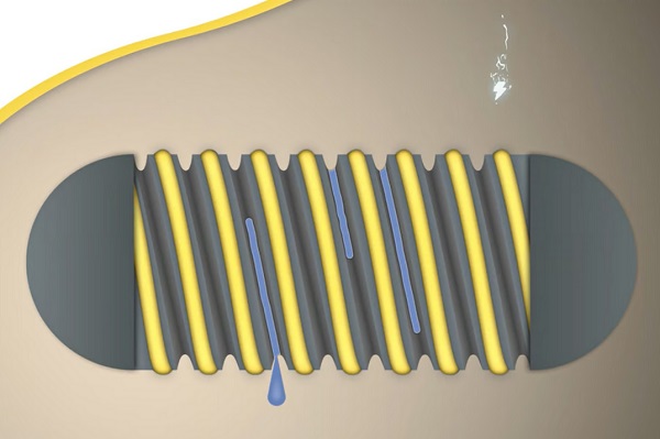 Schéma ukazuje, ako "údolia" drážok prístroja FLASH odvádzajú tekutinu zo sliznice žalúdka a umožňujú kontakt elektród na "hrebeňoch".