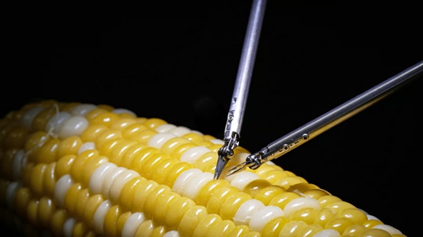 Mikrochirurgický robot spoločnosti Sony operuje kukuričné zrnko. 