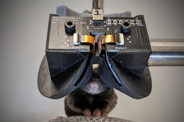 Výskumné VR okuliare pre hlodavce MouseGoggles.