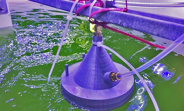 Riasy pestované v dlhých a tenkých rybníkoch sú monitorované technológiou chemickej ionizačnej hmotnostnej spektrometrie.