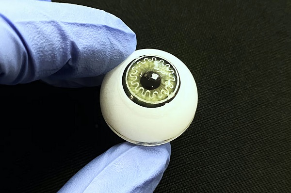 Model oka zobrazuje „inteligentnú“ kontaktnú šošovku na meranie tlaku, vytvorenú novou technikou.