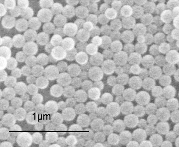Snímka z rastrovacieho elektrónového mikroskopu monovrstvy nanosféry ukazuje takmer dokonale okrúhle častice jednotnej veľkosti.