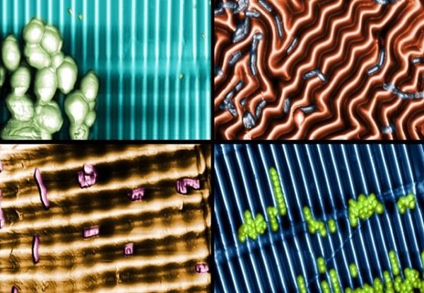 Štyri rôzne povrchy s nanotextúrou, s baktériami, ktoré s nimi interagujú rôznymi spôsobmi.