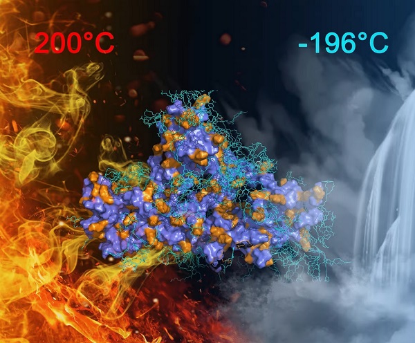 Nové supramolekulárne lepidlo drží spolu pri extrémne vysokých a nízkych teplotách.