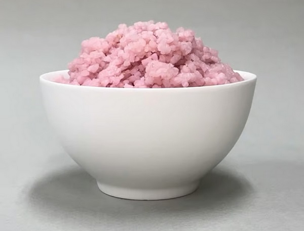 Miska hovädziny s ryžou, ktorú vytvoril tím kórejských vedcov.