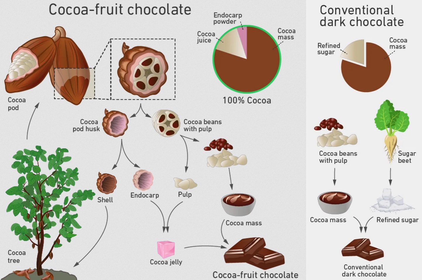 Schéma toho, ako sa dá vyrobiť nová čokoláda z kakaového ovocia, v porovnaní s výrobou konvenčnej tmavej čokolády.