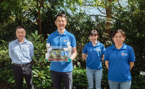 Výskumný tím zľava doprava: odborný asistent Tan Swee Ching, pán Qu Hao, pani Yang Jiachen a Dr. Zhang Xueping.