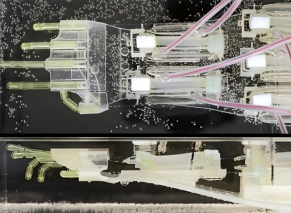 Biohybridná ruka plávala v kvapaline, aby sa znížilo trenie a kĺby sa po elektrickej stimulácii vrátili do pôvodného tvaru.