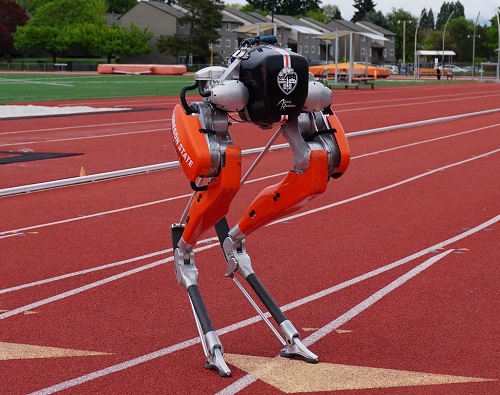 Dvojnohý robot Cassie vytvoril Guinnessov rekord v robotickom behu na 100 metrov.