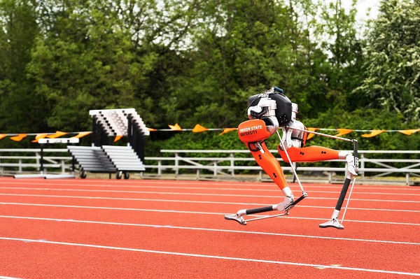 Dvojnohý robot Cassie na ceste za Guinnessovým rekordom.