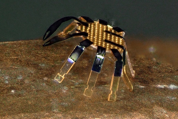 Tieto robotické kraby, široké len pol milimetra, sa môžu pohybovať rýchlosťou polovice dĺžky svojho tela za sekundu.