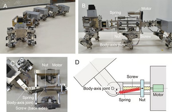 A. Robot myriapod. B. Pohľad spredu. C. Pohľad zhora. D. Schéma horného pohľadu.
