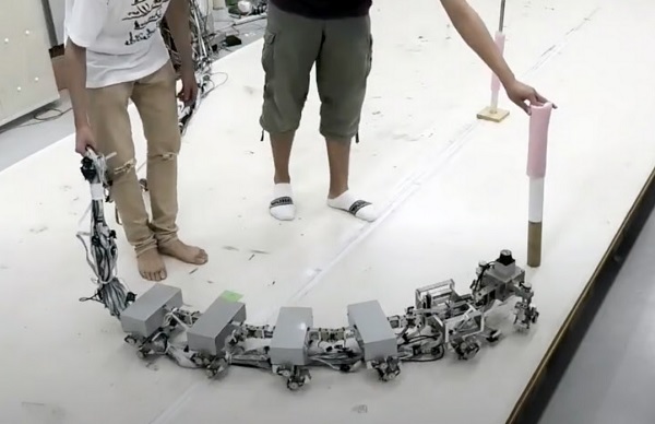 Vedci sa inšpirovali prírodou a vytvorili robota, ktorý sa pohybuje ako stonožka.