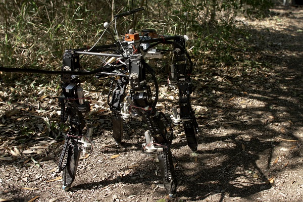 Štvornohý adaptívny robot Dyret.