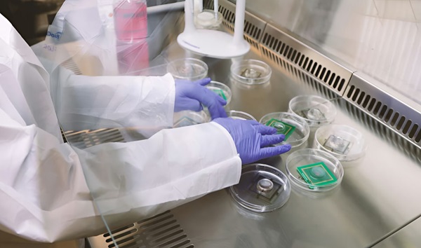 Biopočítačové čipy je potrebné udržiavať pri živote pomocou tekutín a živín v sterilných podmienkach s riadenou teplotou.