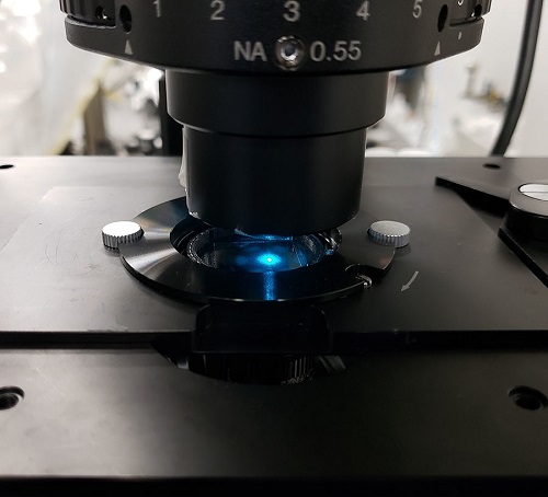 Jedno z nových krycích sklíčok použité v bežnom optickom mikroskope.