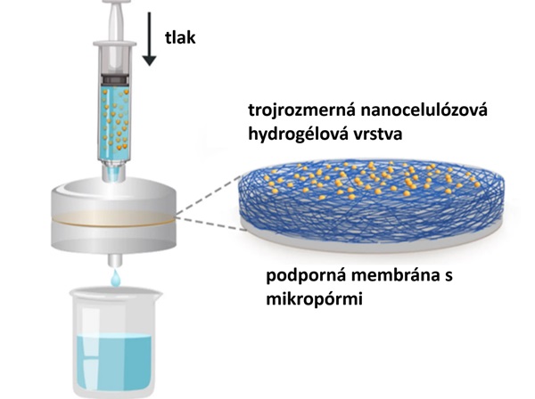 Schéma nanocelulózového hydrogélového filtra.