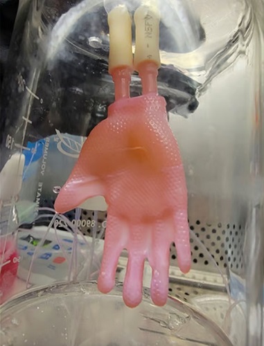 Jednodielna "rukavica" z bioinžinierskej kože vytvorená pomocou novej technológie.