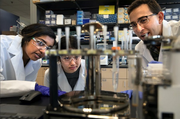 Výskumníci sledujú platformu umelej inteligencie BacterAI pri práci.