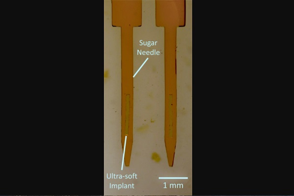Mikroskopická snímka dvoch ihiel z cukru so silikónovými implantátmi vo vnútri.