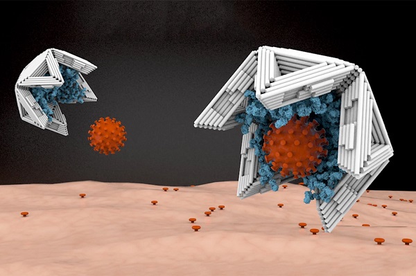 Znázornenie nových vírusových pascí konštruovaných z origami DNA.