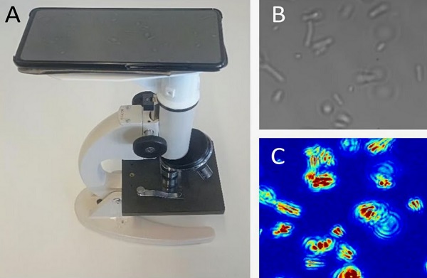 Nastavenie optickej nanodetekcie (A), spolu s optickým zobrazením baktérií E. coli (B) a tým istým zobrazením, v ktorom farby zvýrazňujú pohyby jednotlivých baktérií (C).