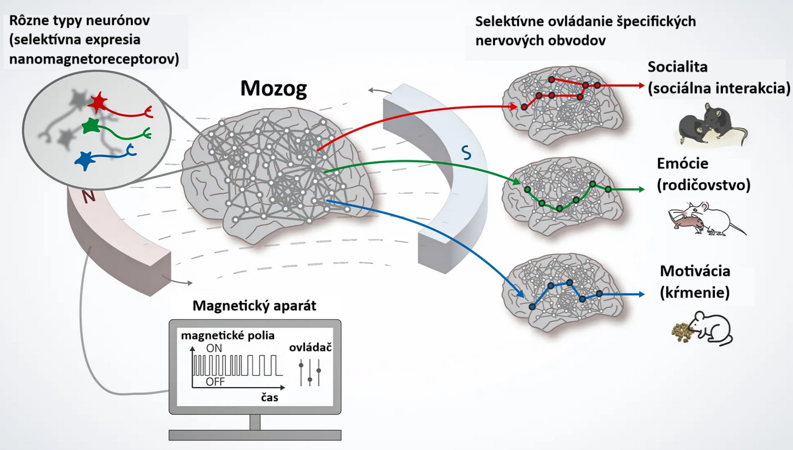 Prehľad technológie Nano-MIND.