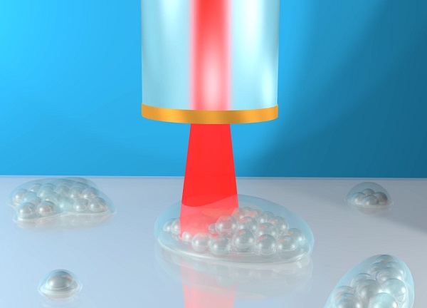 Prototyp ultrazvukovej sondy dokáže vytvoriť 3D mapu odhaľujúcu tuhosť a priestorové vlastnosti štruktúr buniek v nanomeradle.