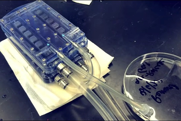 V laboratóriu bol otestovaný prototyp bioumelej obličky.