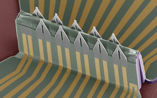 Snímka z elektrónového mikroskopu ukazuje jedno z polí tranzistorov riadených poľom.